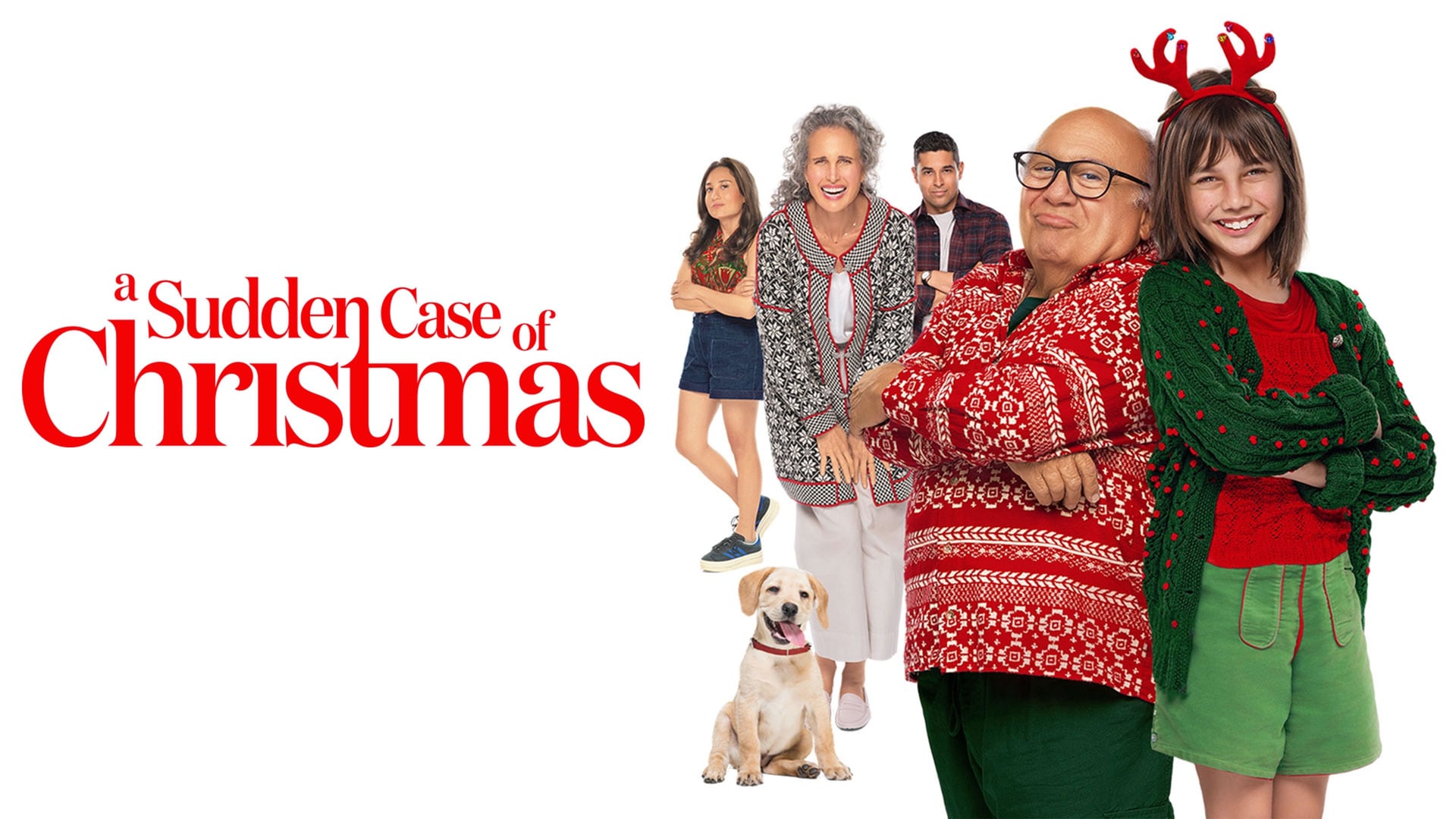 Foto do filme A Sudden Case of Christmas