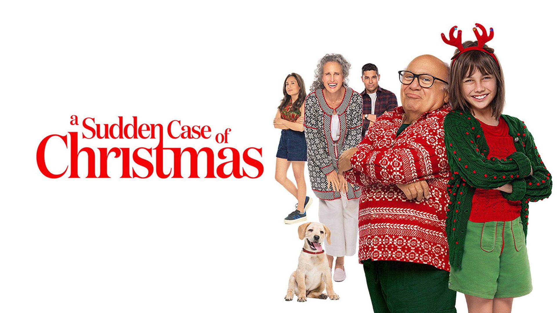 Foto do filme A Sudden Case of Christmas