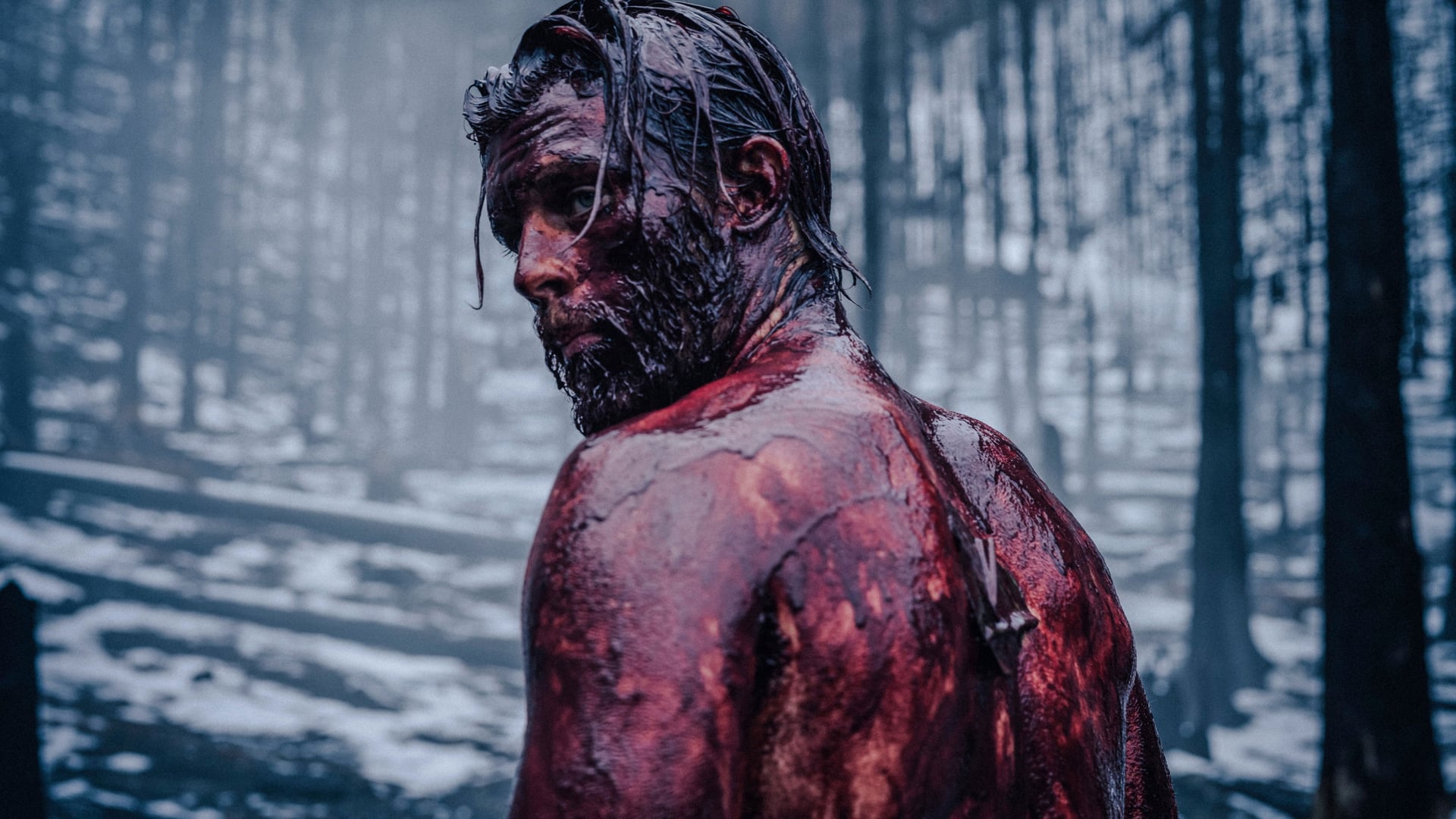 Foto do filme Hagen - Im Tal der Nibelungen