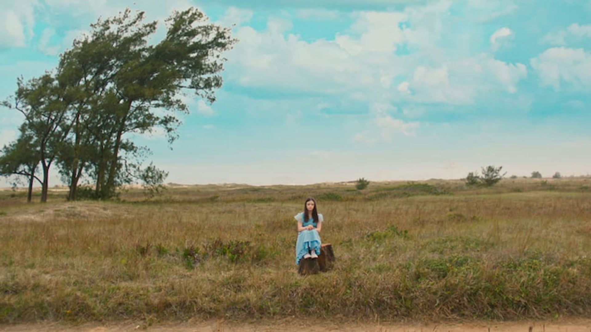 Foto do filme Colegas e o Herdeiro