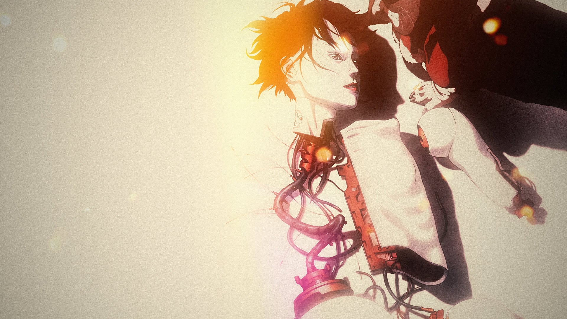 Foto do filme Ghost in the Shell 2: A Inocência