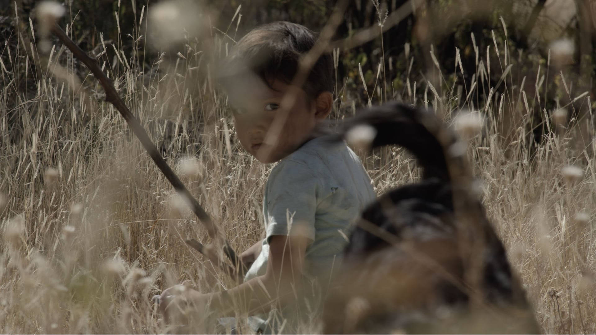 Foto do filme Sujo