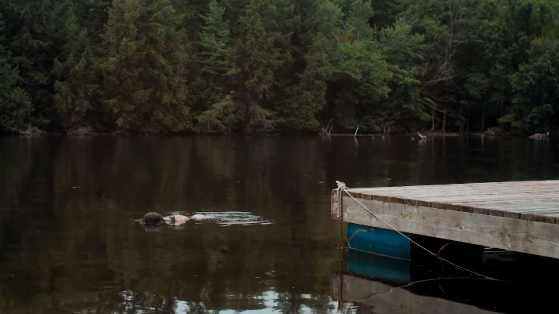 Foto do filme Natureza Violenta