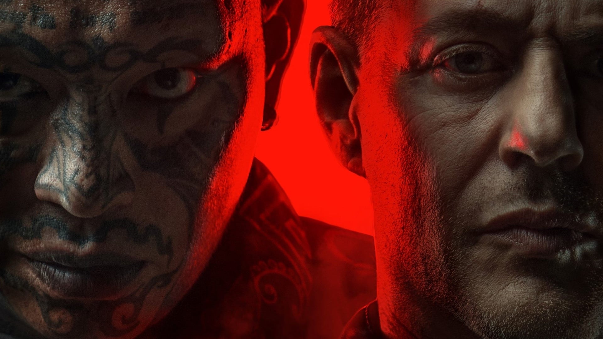 Foto do filme Cão de Briga