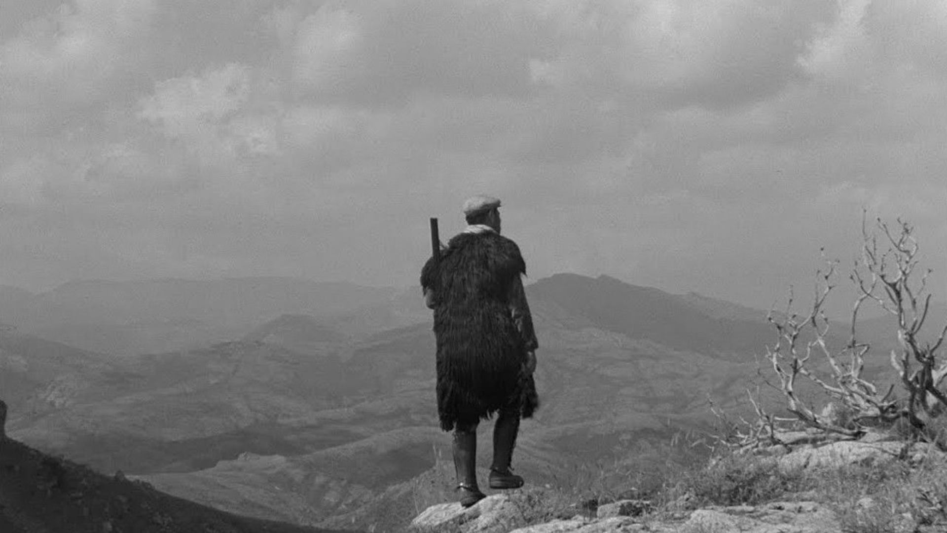 Foto do filme Banditi a Orgosolo