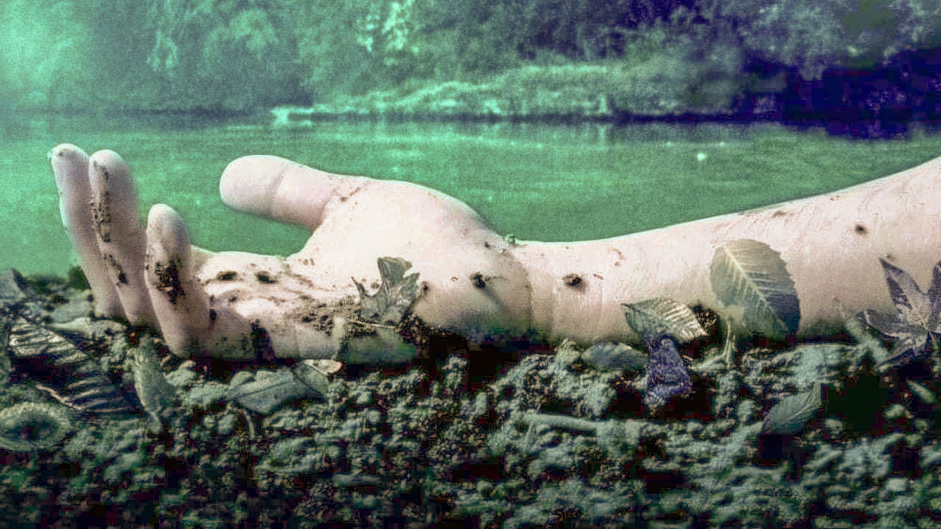 Foto do filme Quase um Segredo