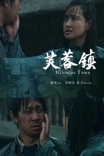 Hibiscus Town