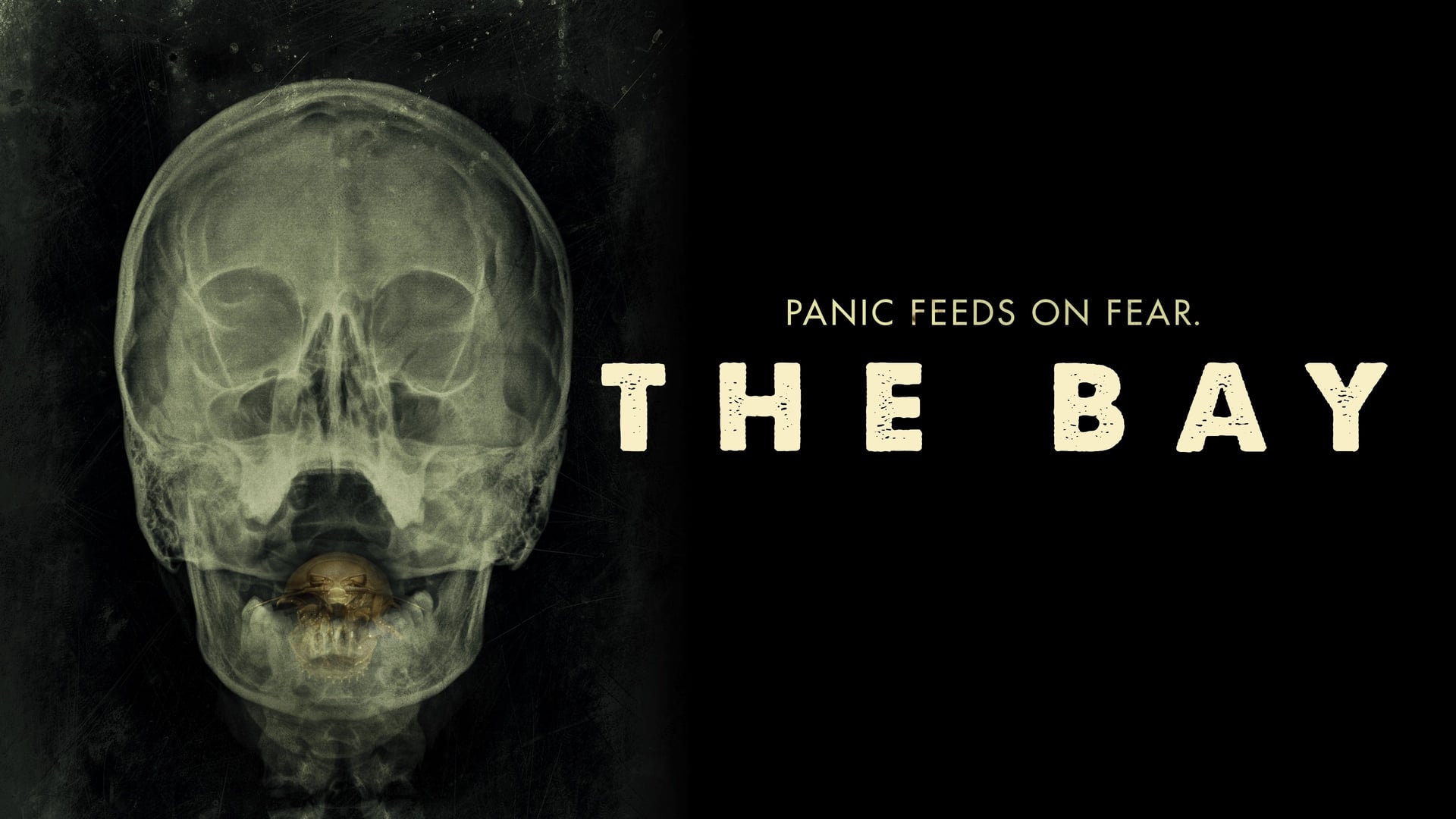 Foto do filme The Bay
