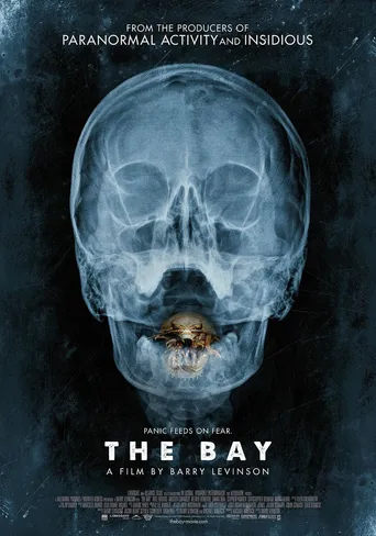 The Bay