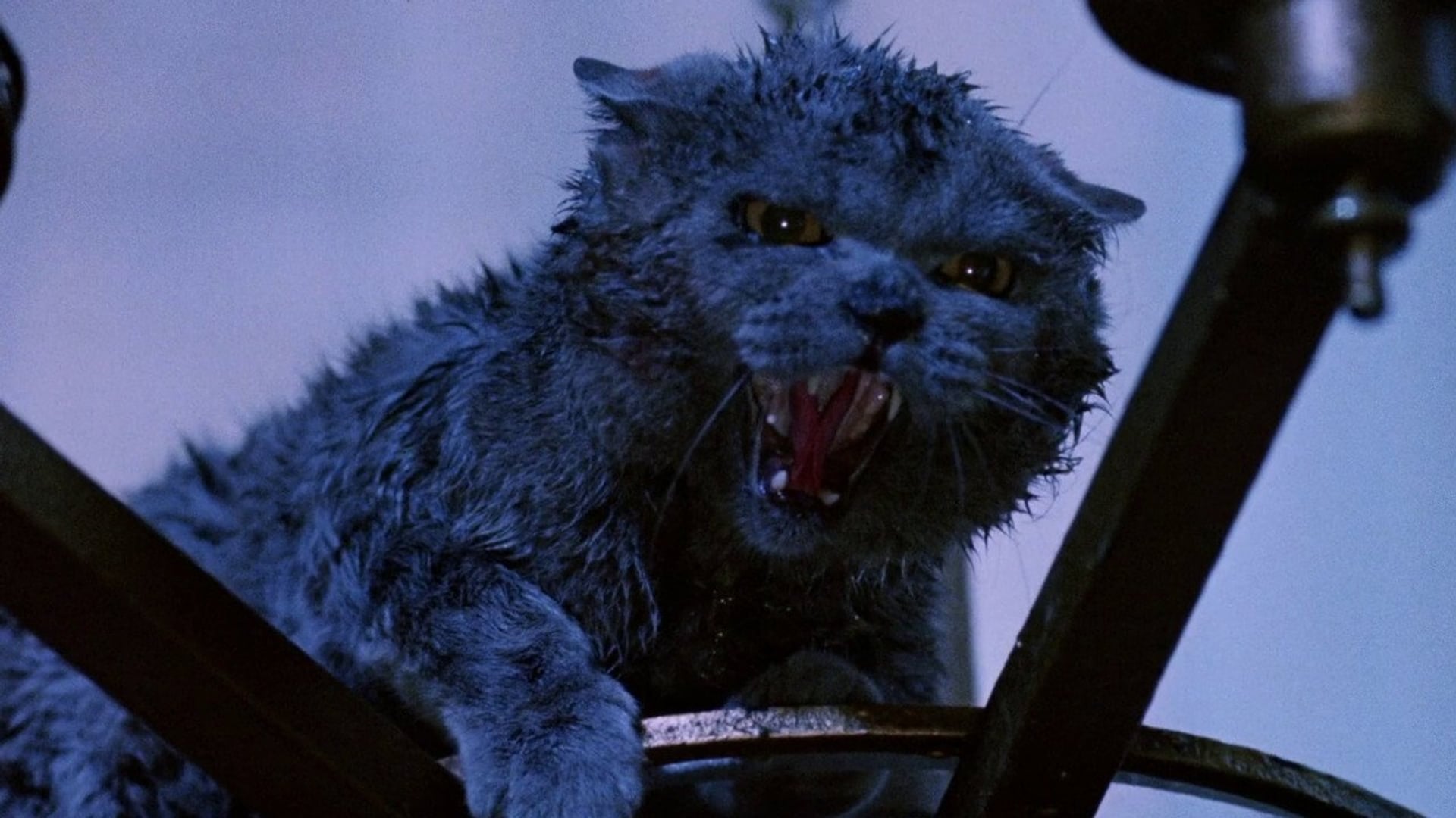 Foto do filme Instinto Assassino