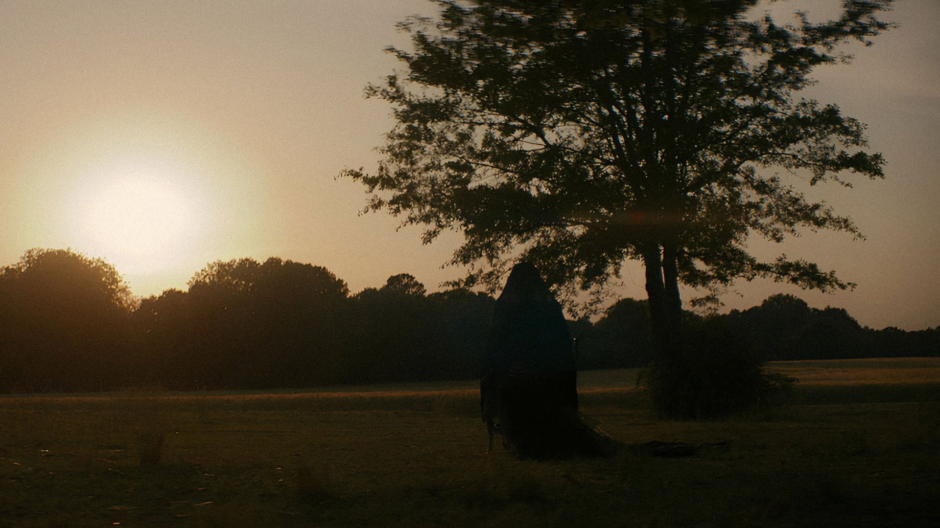 Foto do filme A Mulher no Jardim