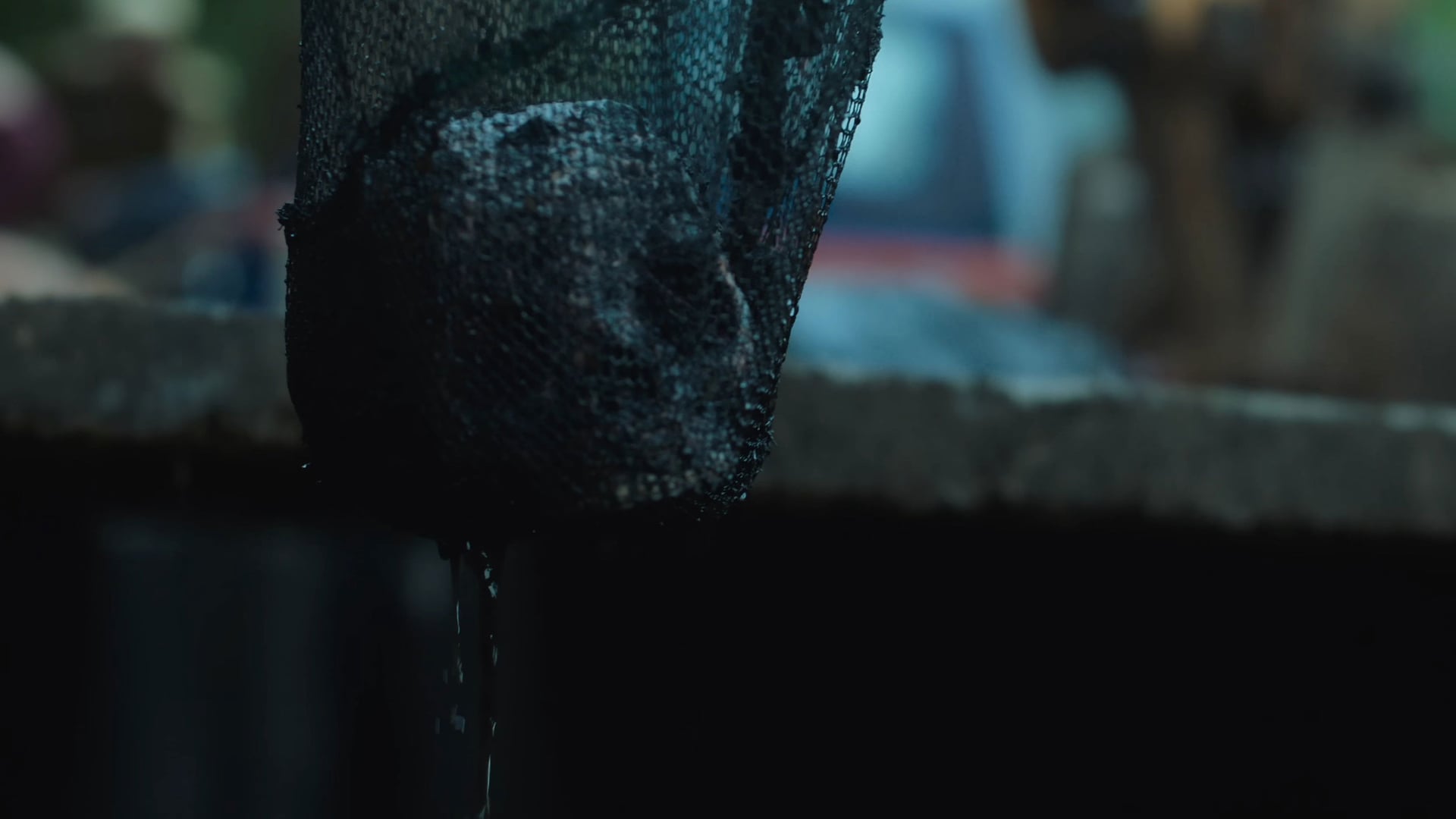 Foto do filme Setor 36