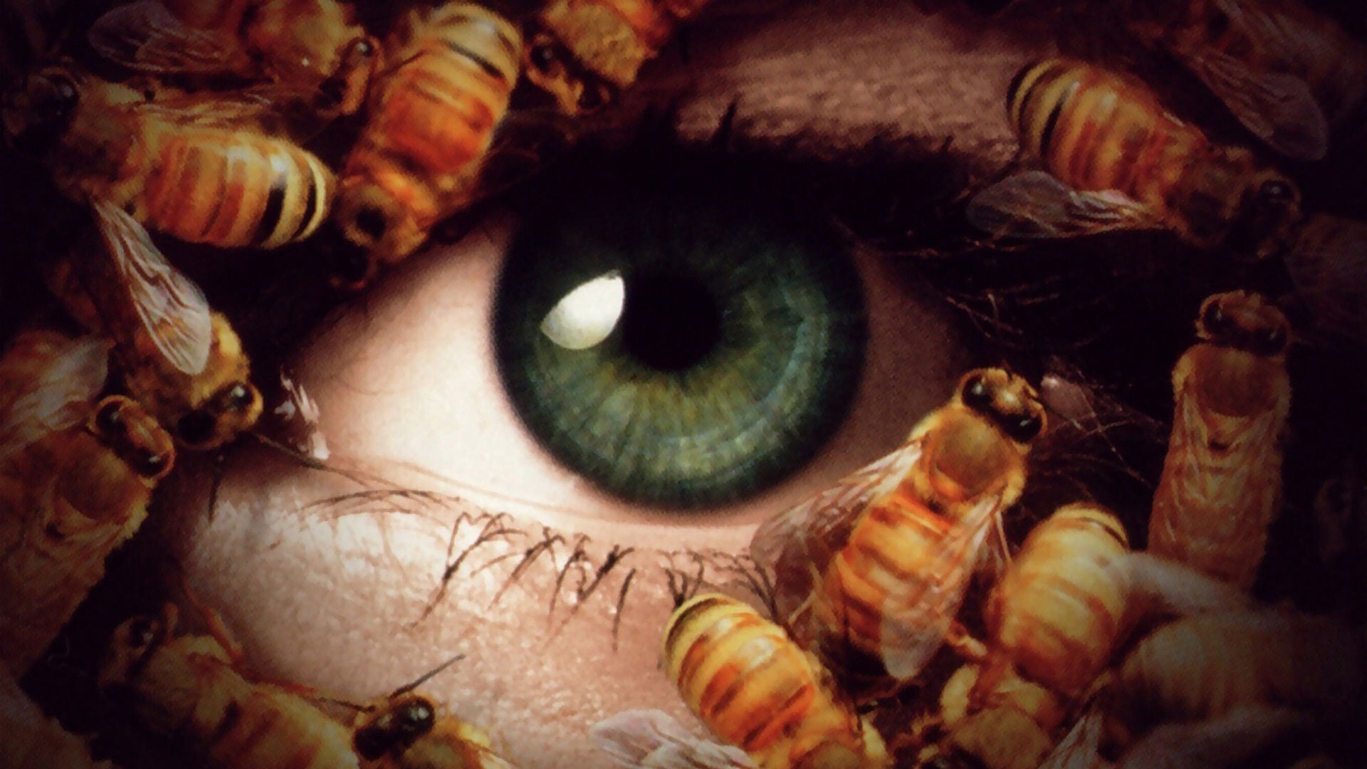 Foto do filme Candyman - Dia dos Mortos
