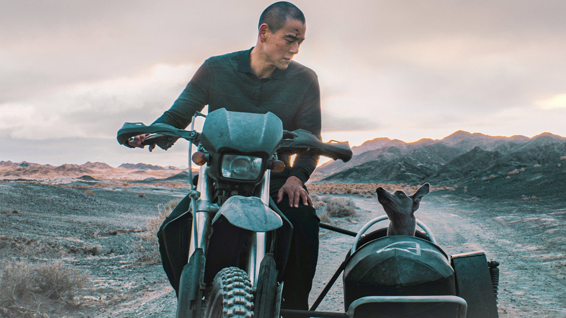 Foto do filme Black Dog