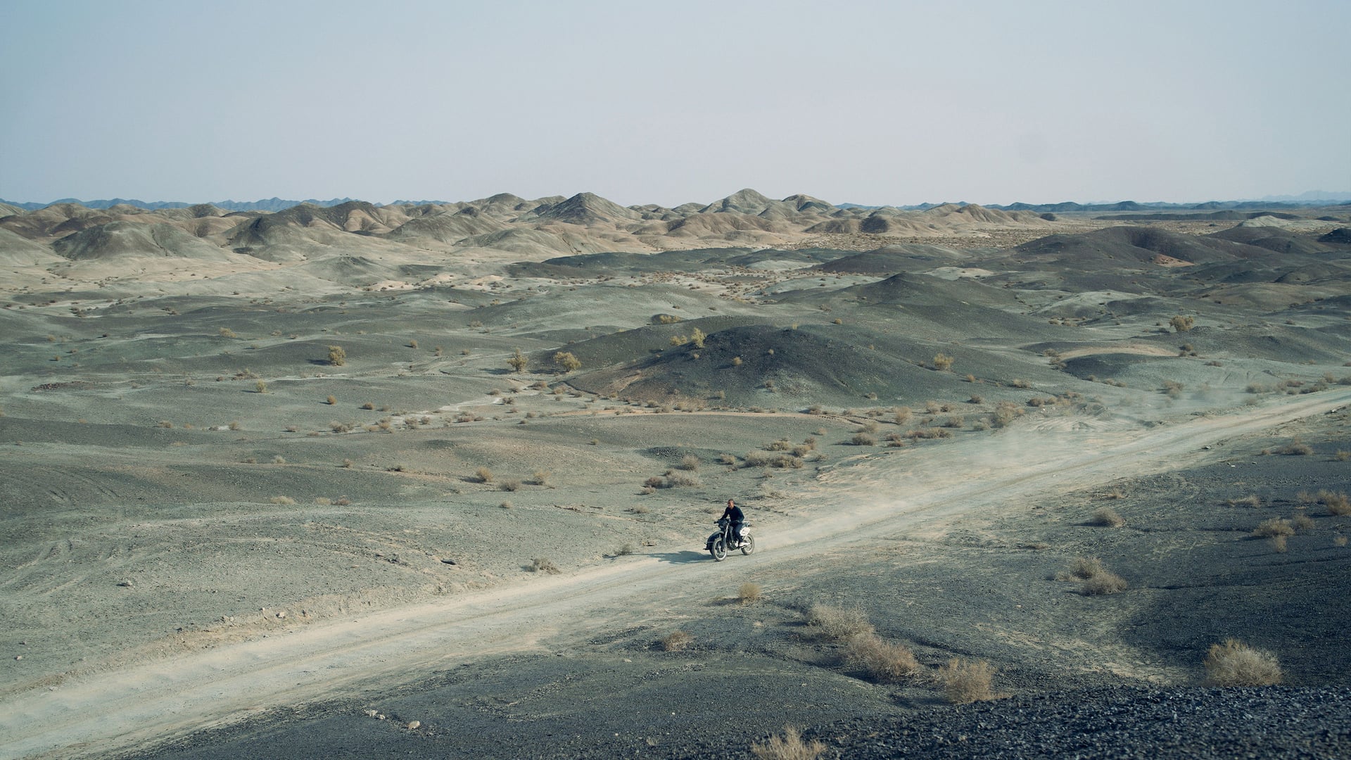 Foto do filme Black Dog