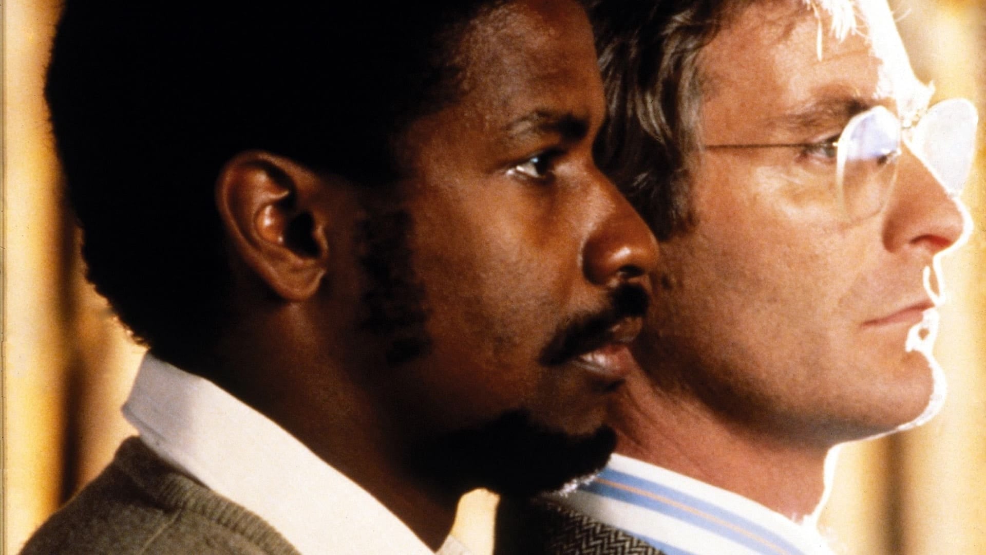 Foto do filme Um Grito de Liberdade