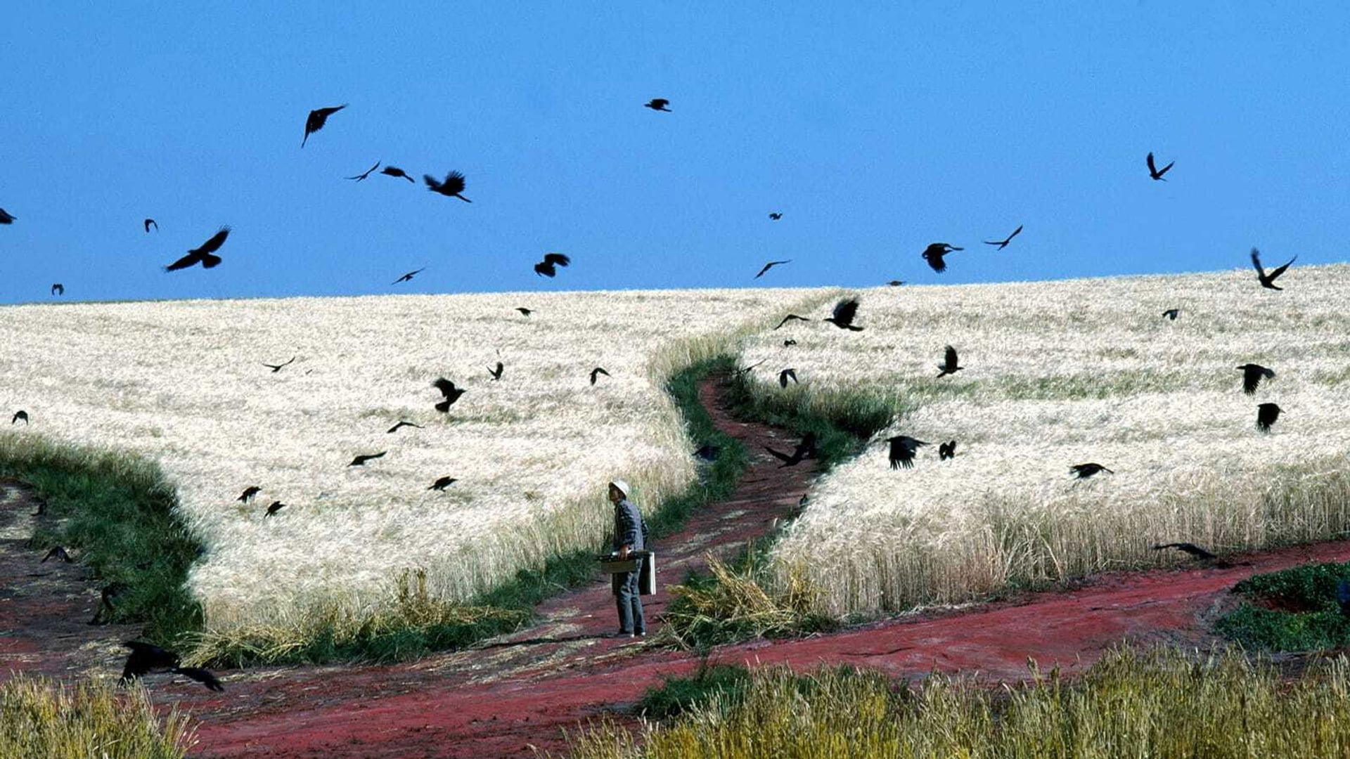Foto do filme Sonhos