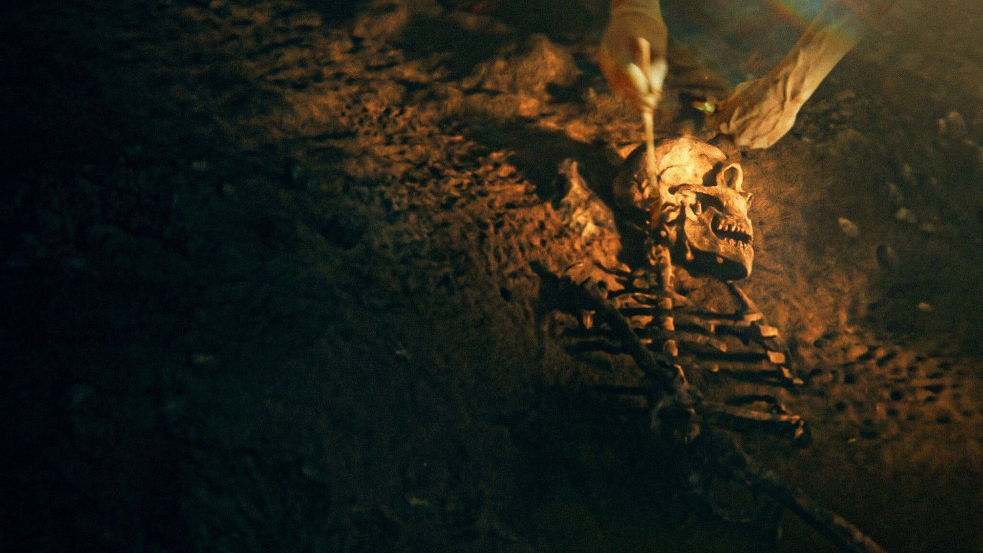 Foto do filme Os Segredos dos Neandertais