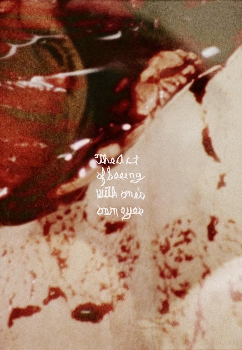 O Ato De Ver Com Os Próprios Olhos