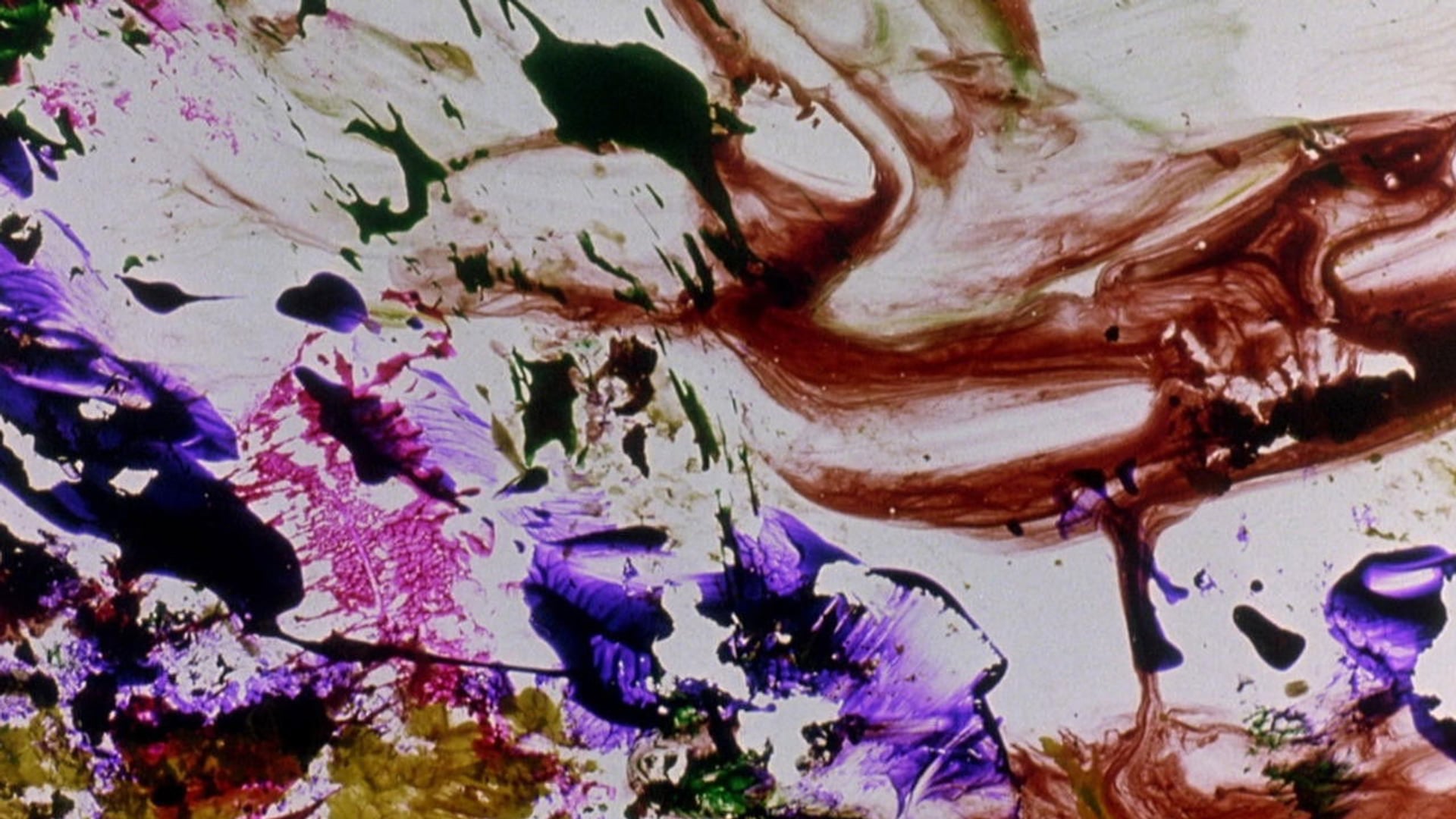 Foto do filme The Dante Quartet