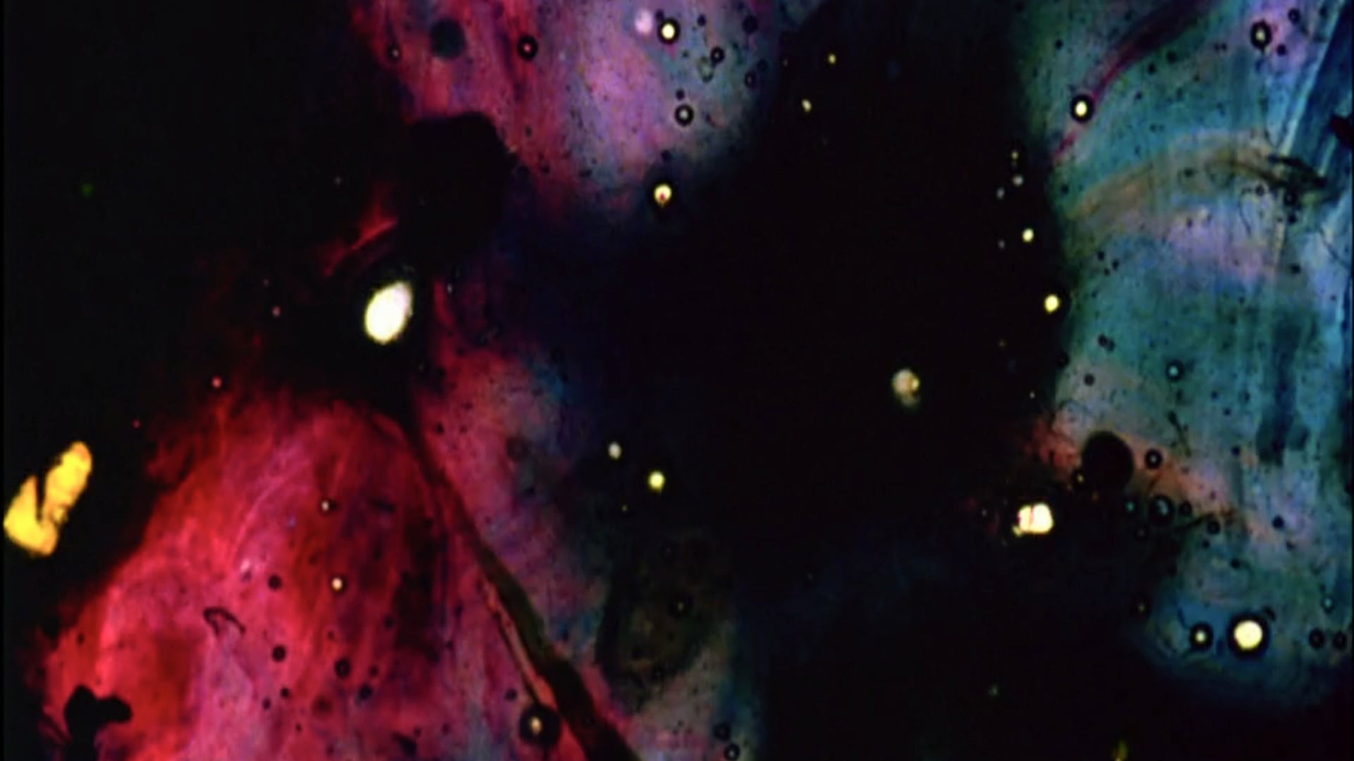 Foto do filme Stellar