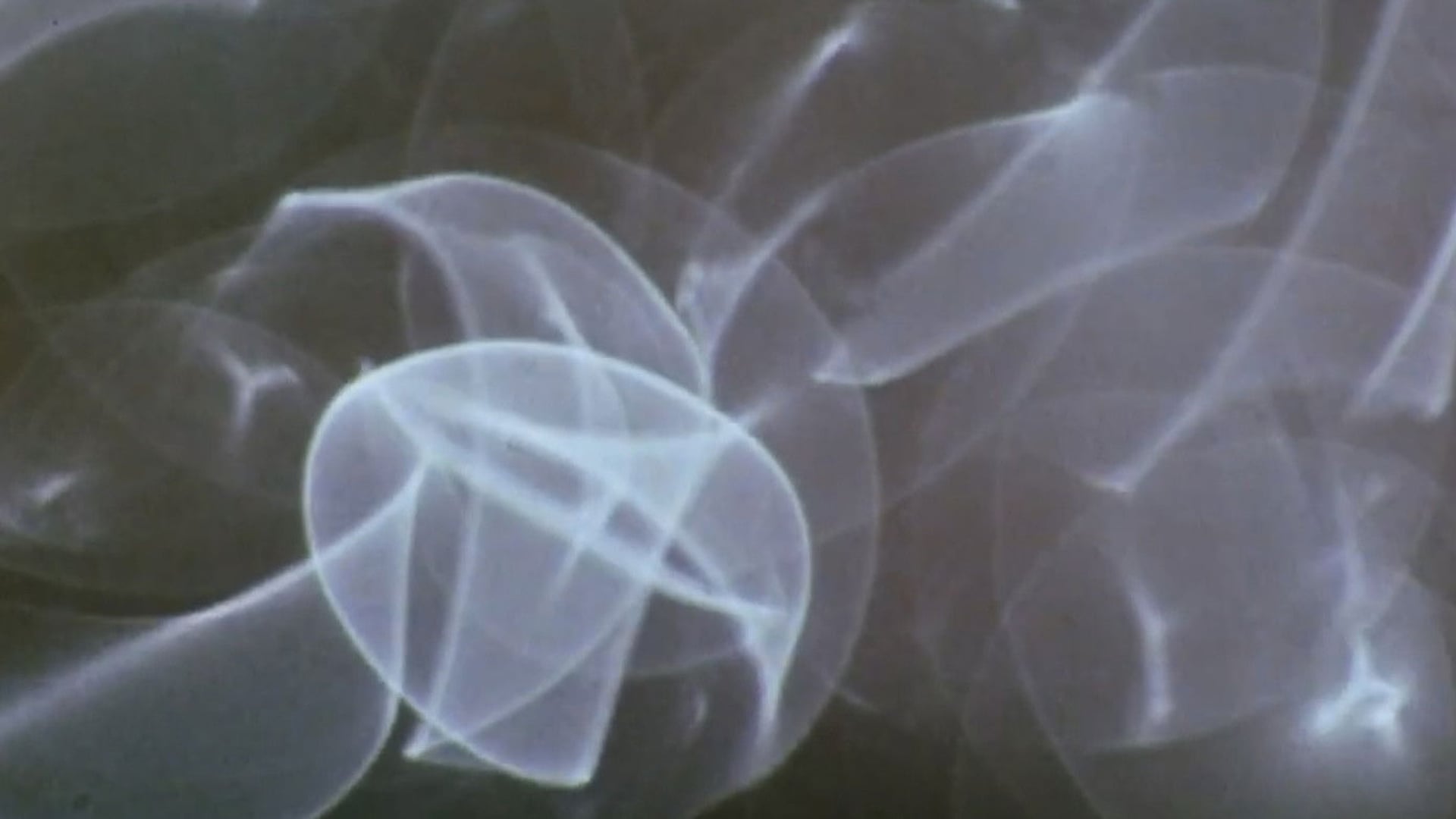 Foto do filme Comingled Containers