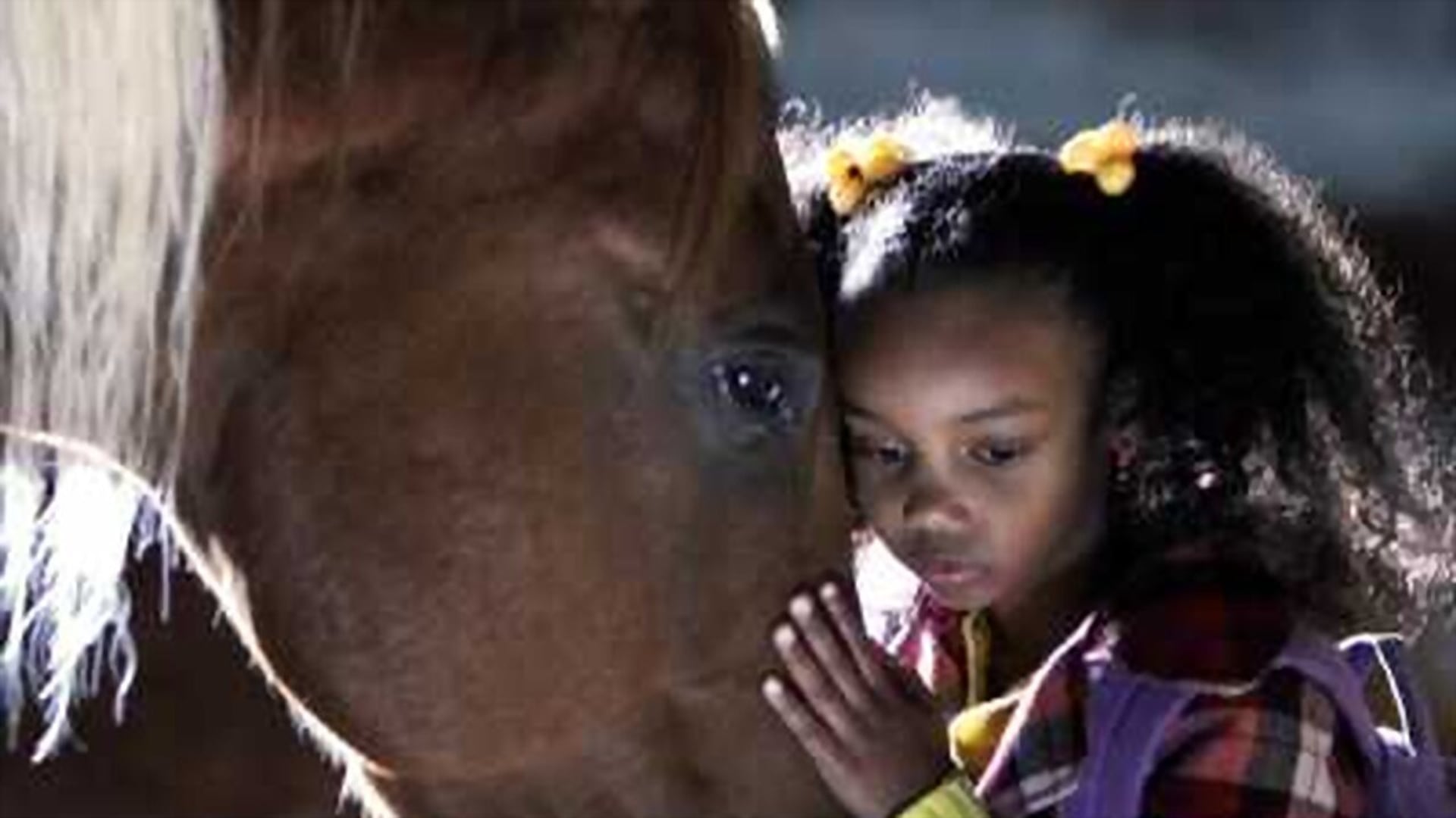 Foto do filme Incondicional