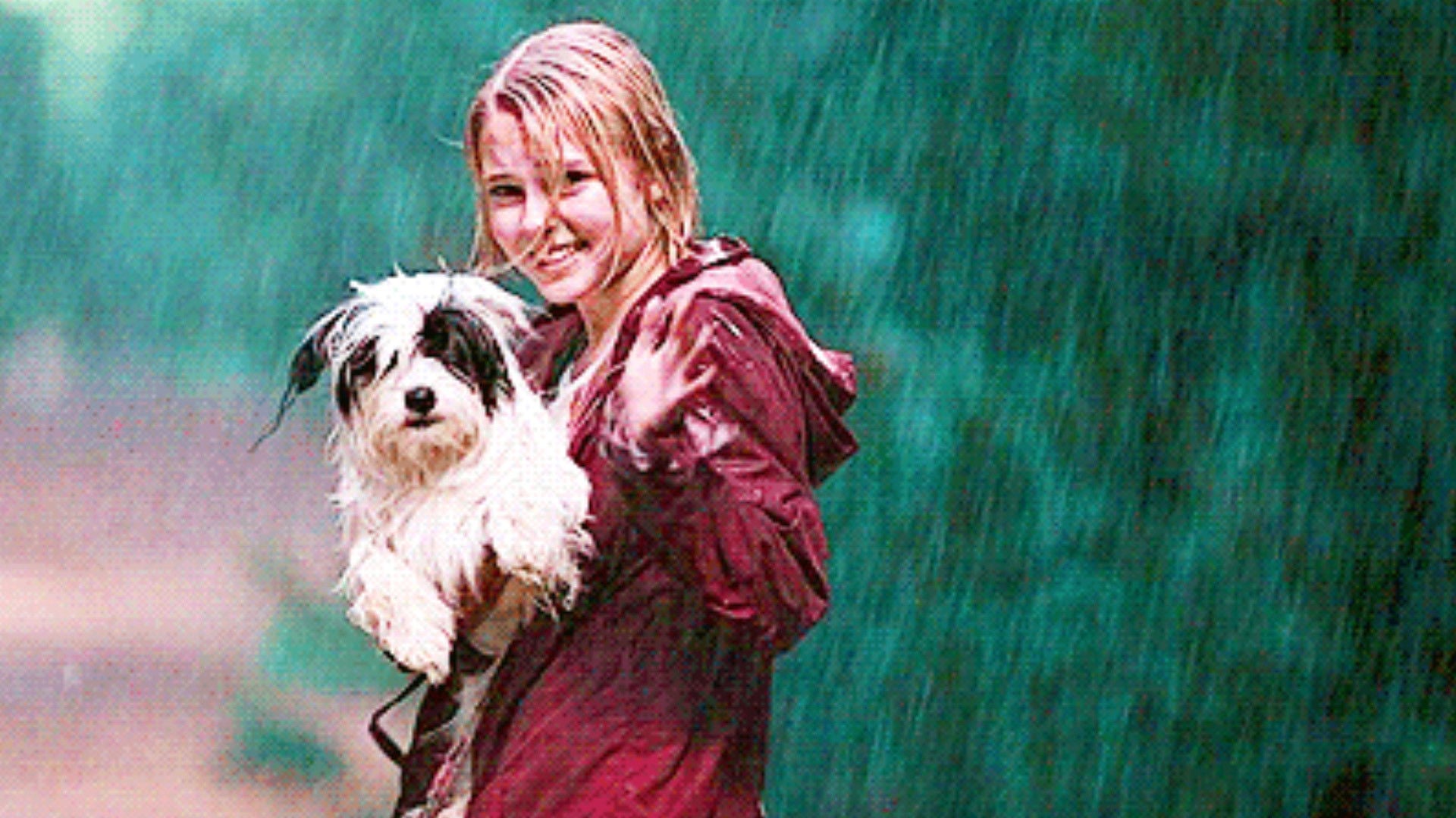 Foto do filme Ponte para Terabítia