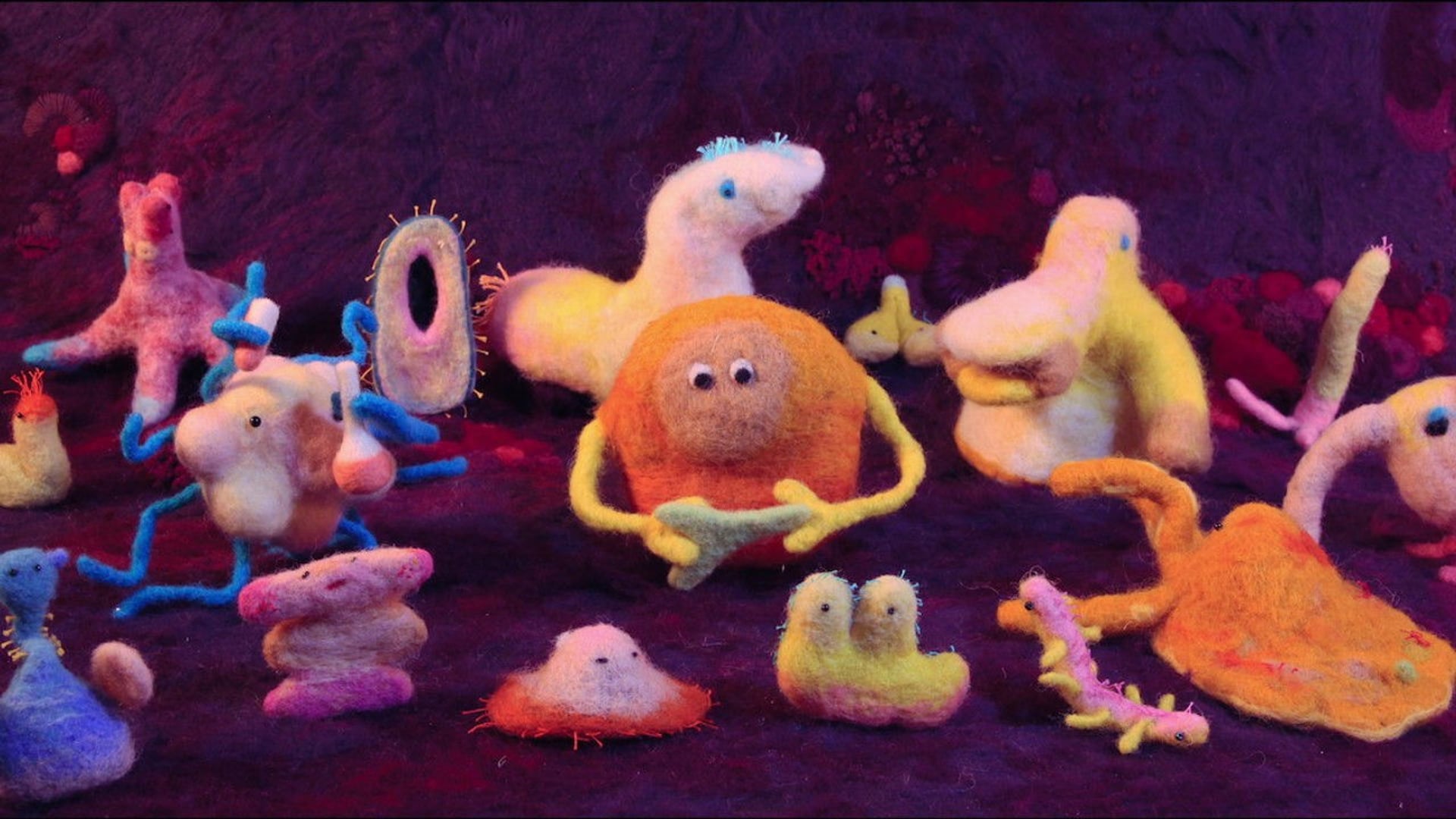 Foto do filme Os Segredos da Alimentação