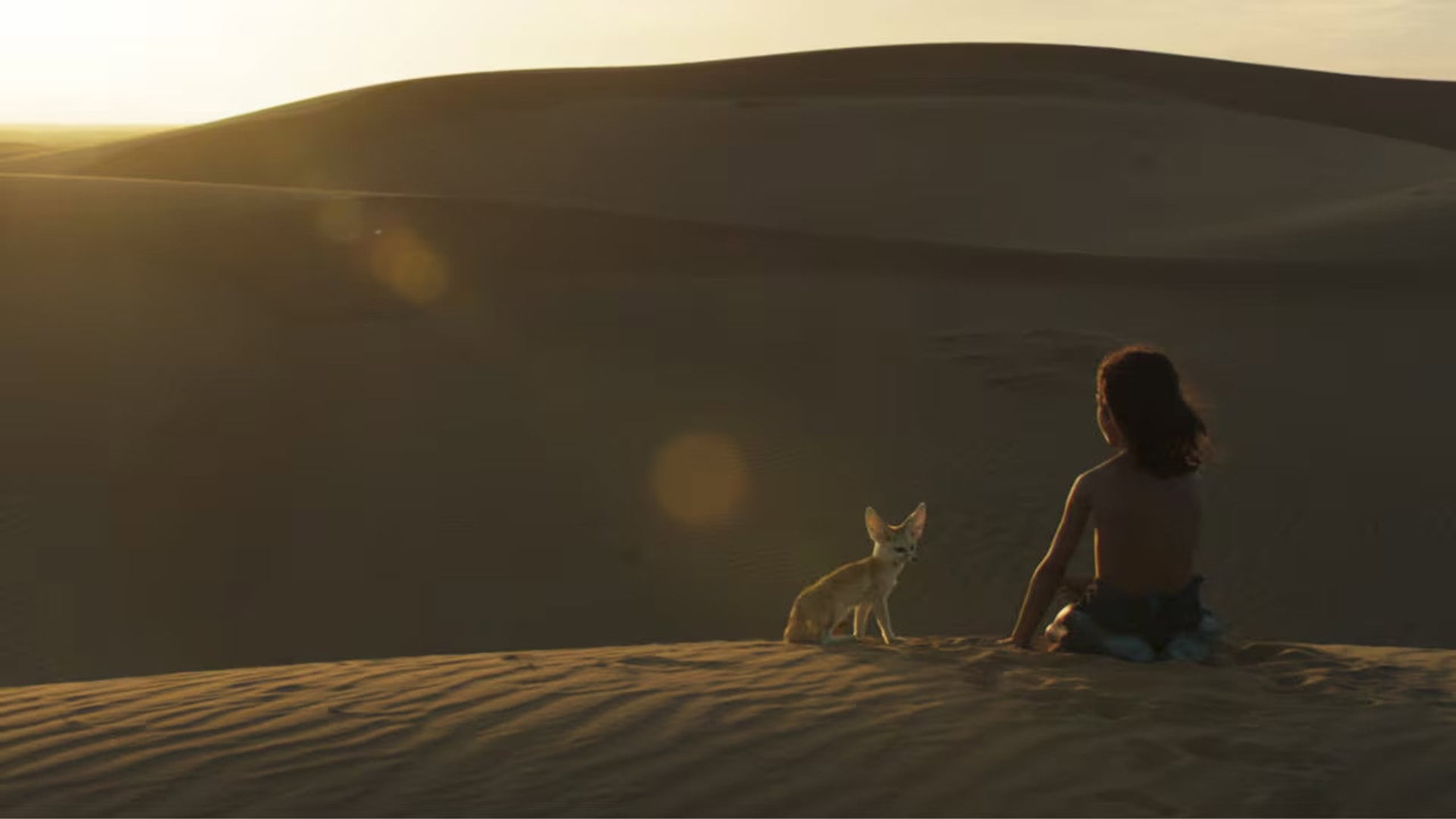 Foto do filme L’Enfant du Désert