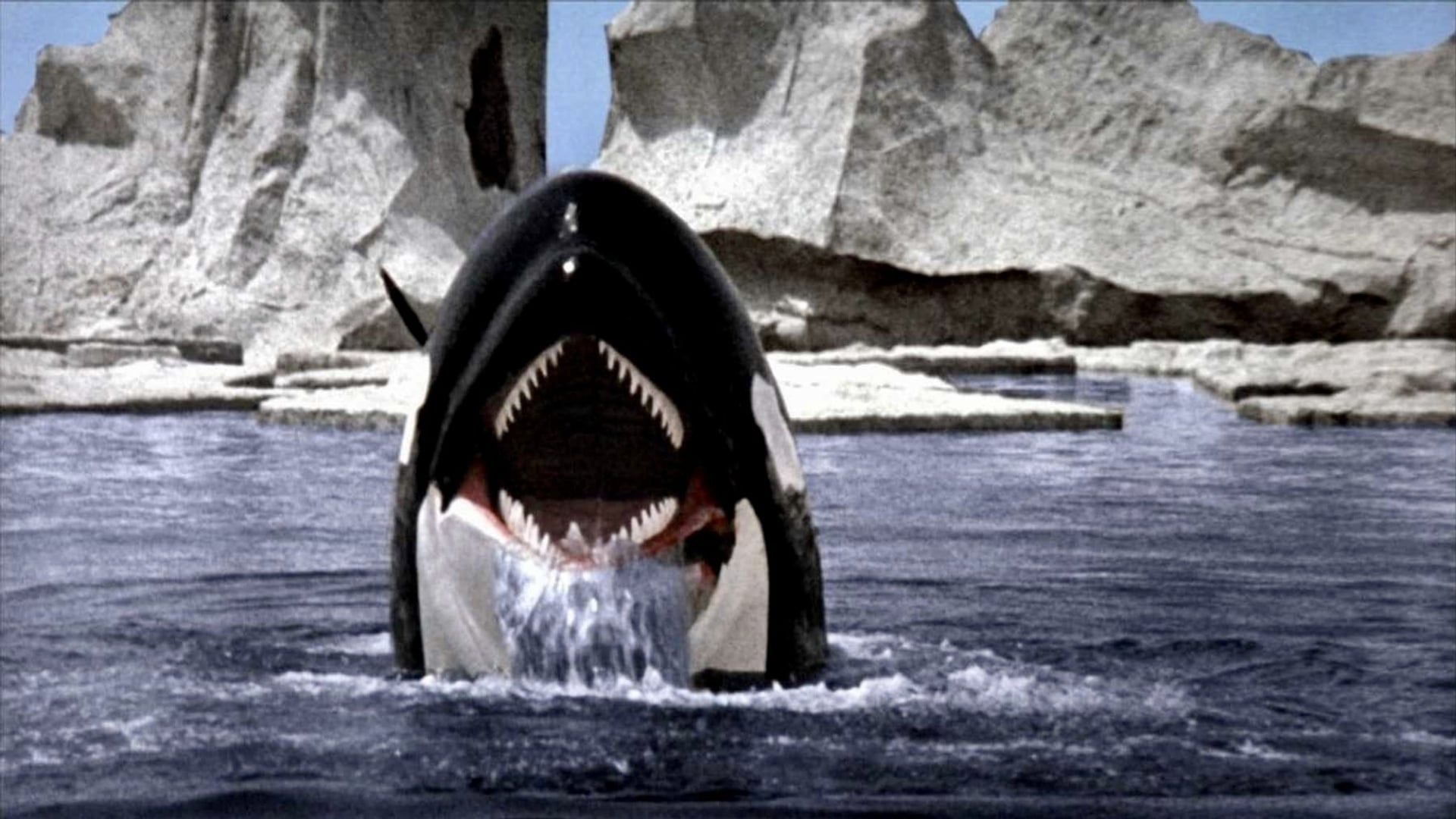 Foto do filme Orca: A Baleia Assassina