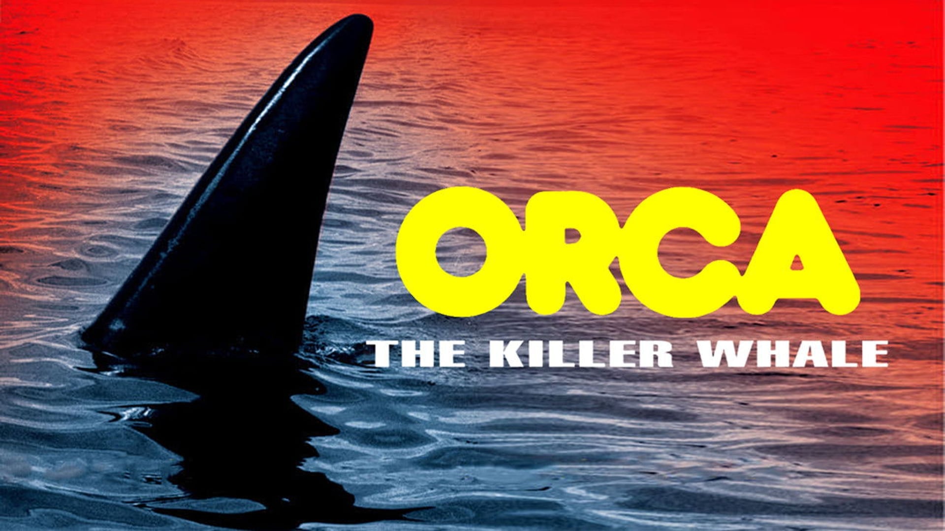 Foto do filme Orca: A Baleia Assassina