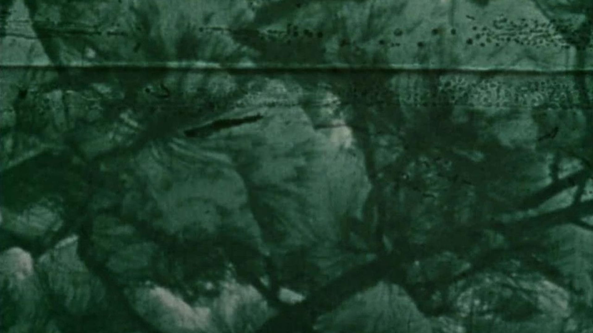 Foto do filme Dog Star Man: Part II