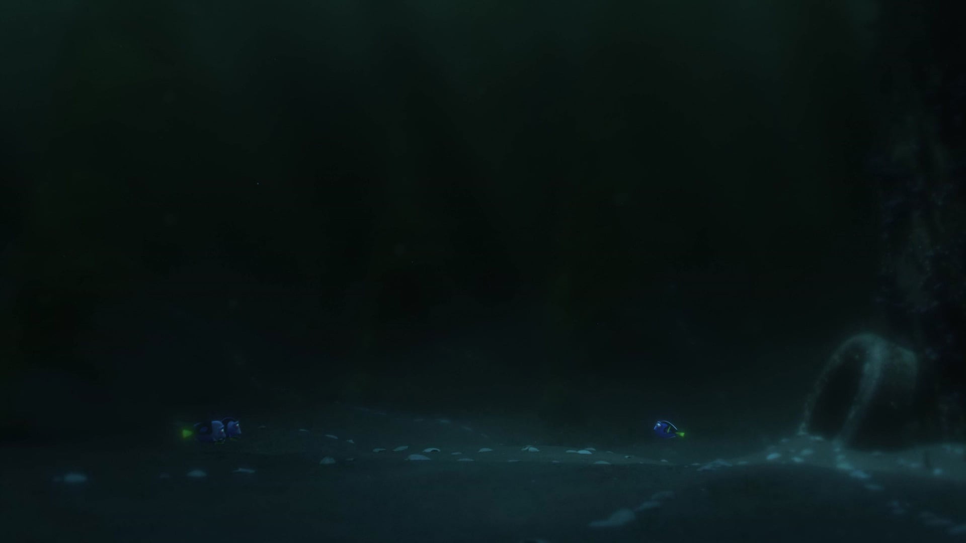 Foto do filme Procurando Dory