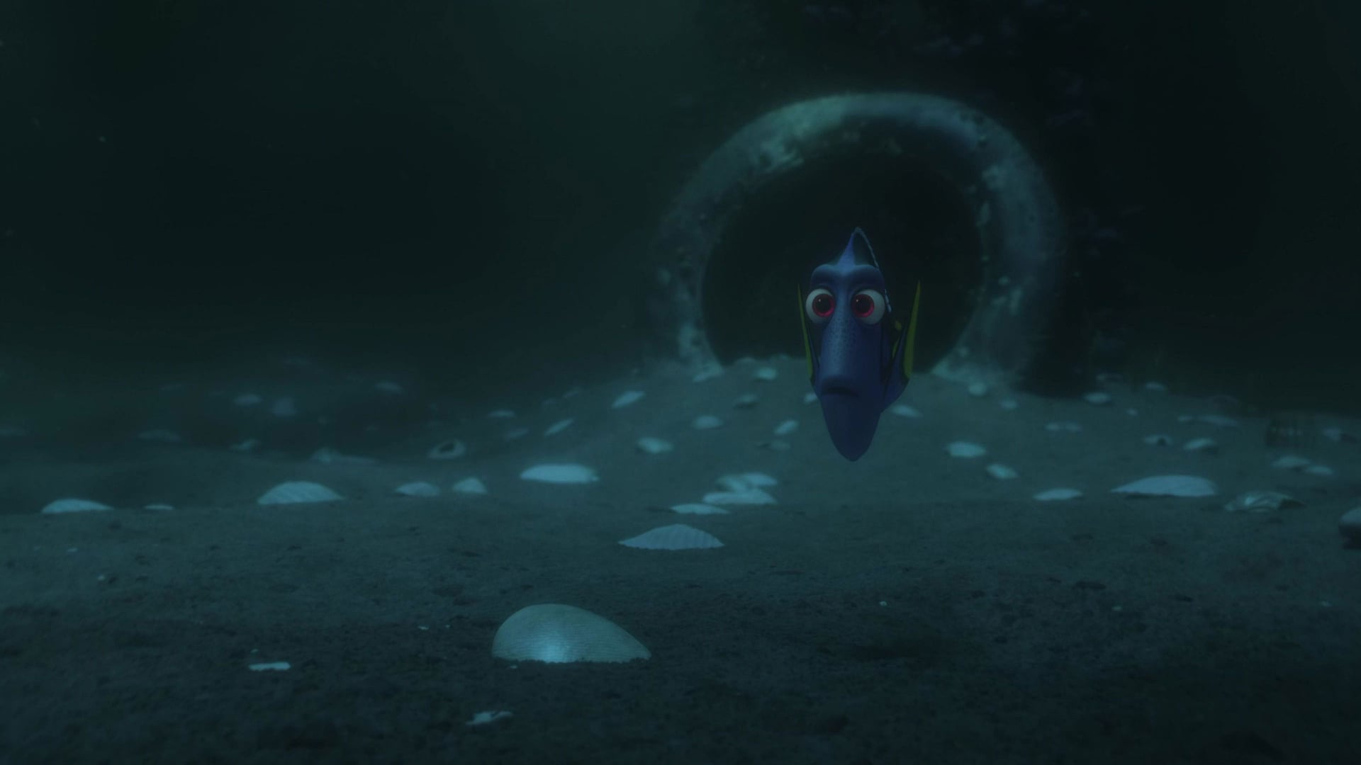 Foto do filme Procurando Dory
