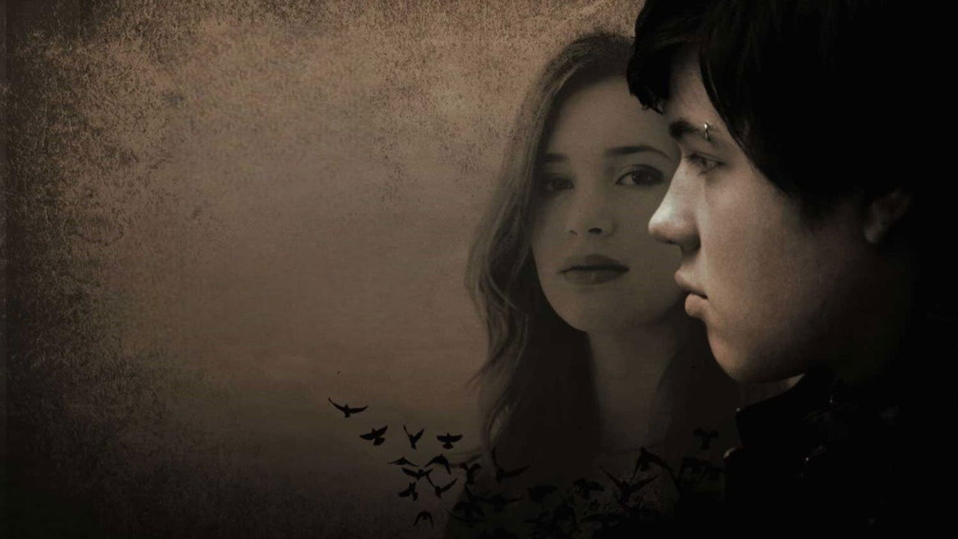 Foto do filme Blackbird