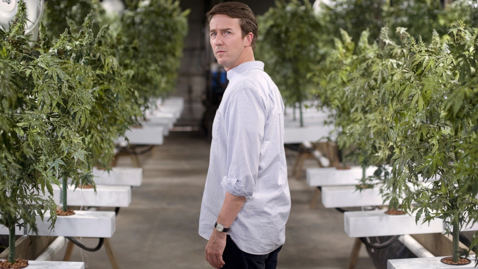 Foto do filme Irmãos de Sangue