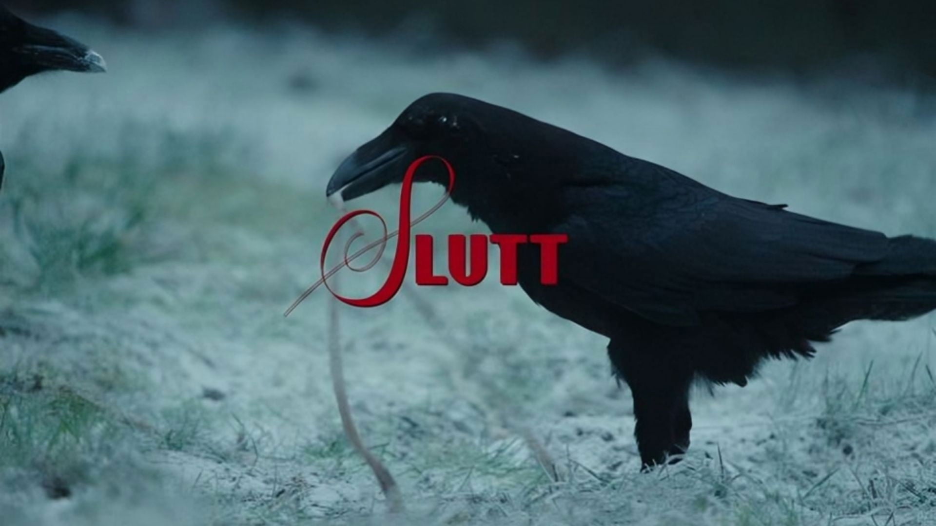 Foto do filme A Meia-Irmã Feia