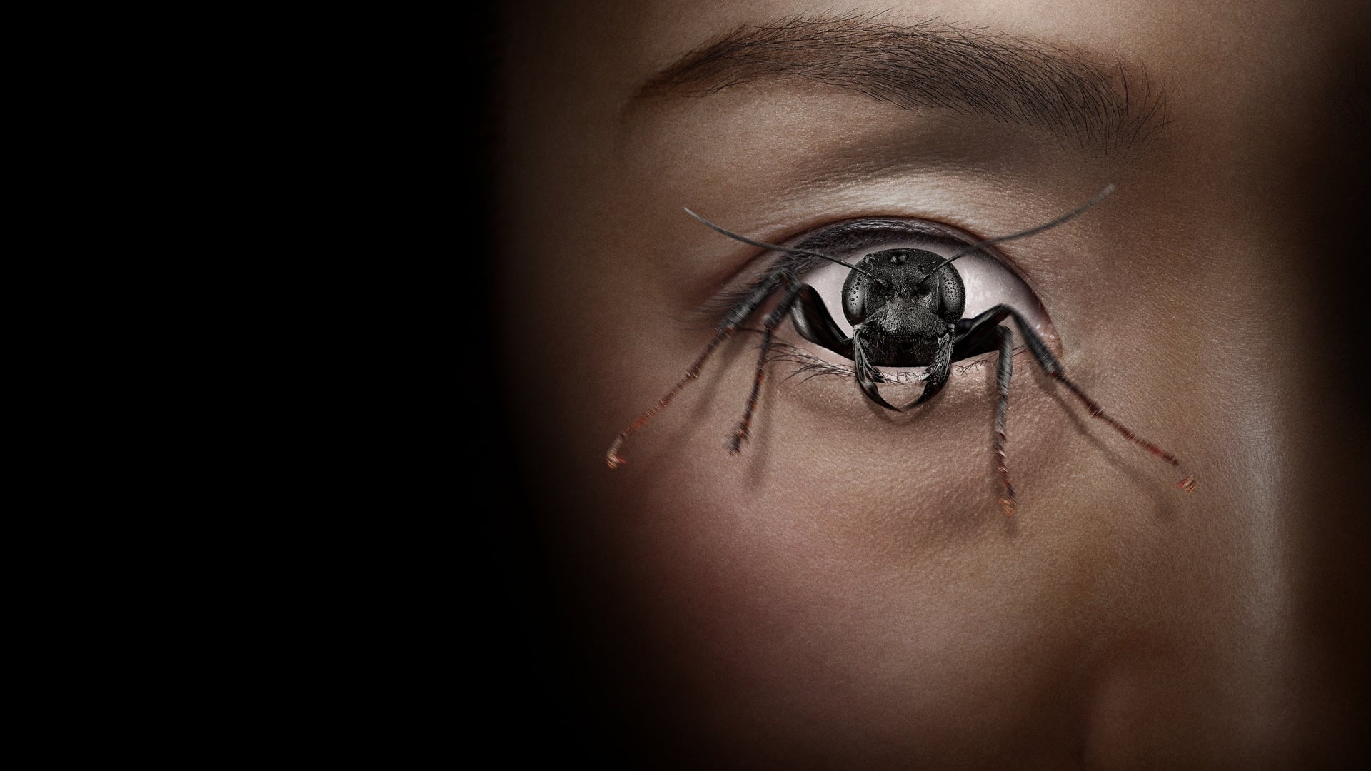 Foto do filme Maníaco do Controle