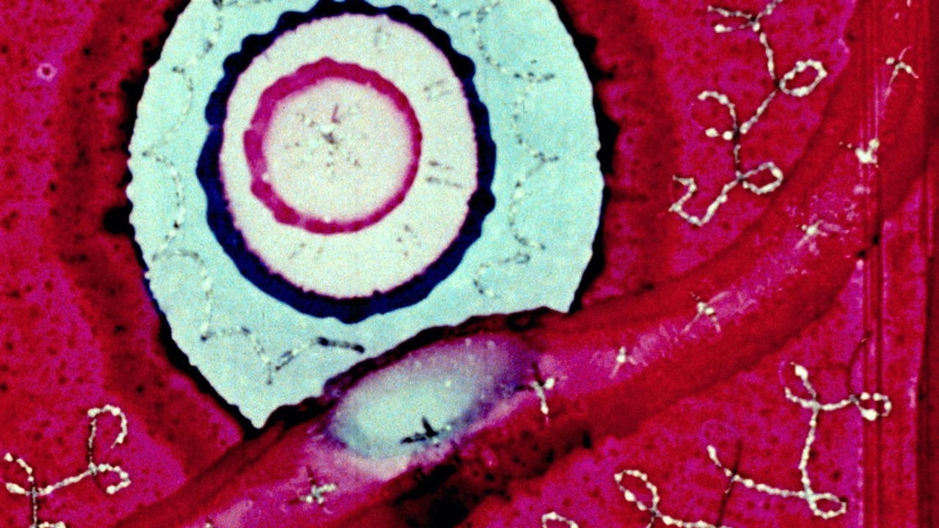 Foto do filme Begone Dull Care