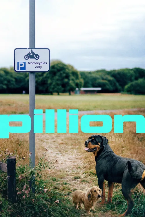 Pillion