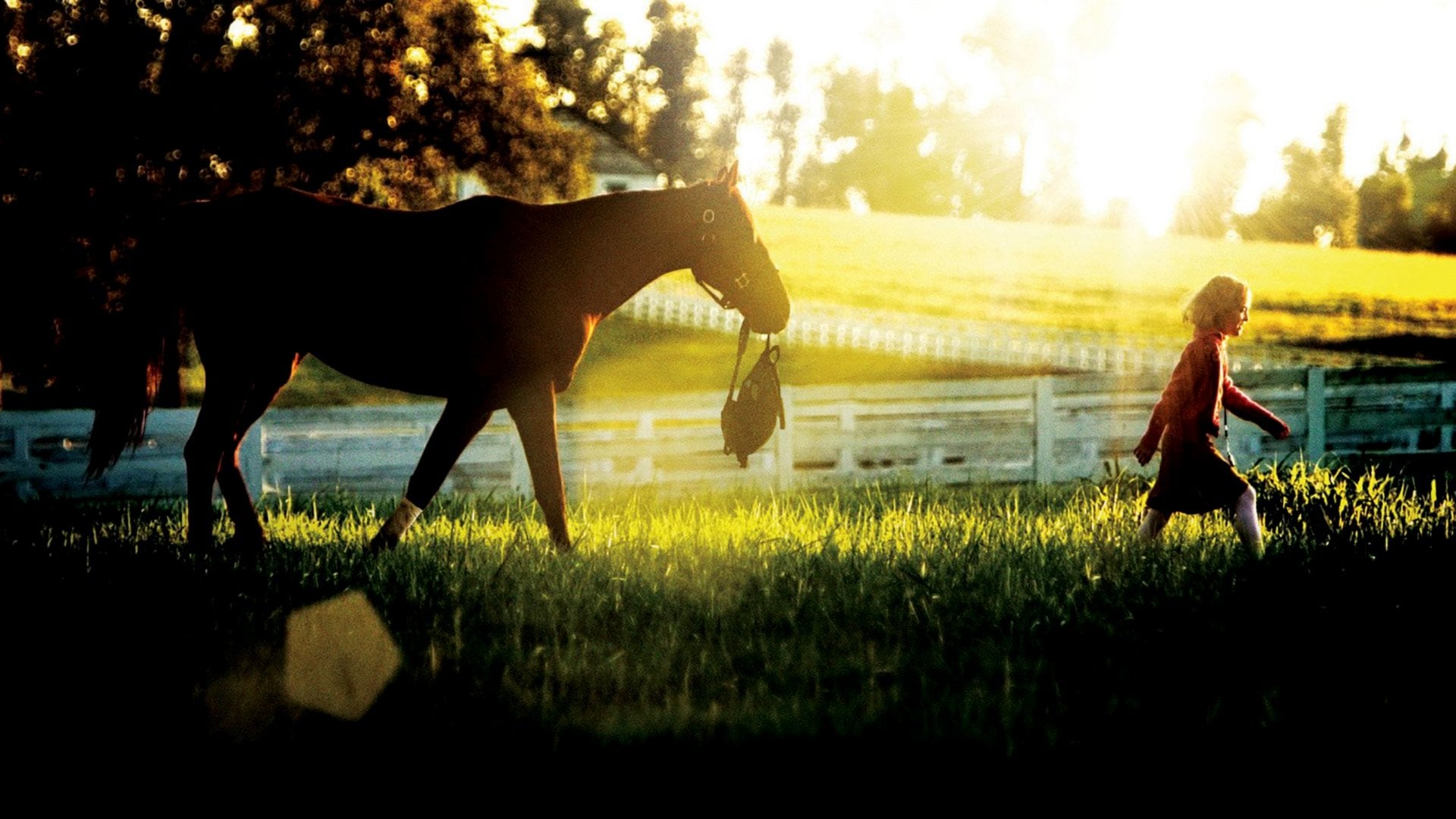 Foto do filme Sonhadora