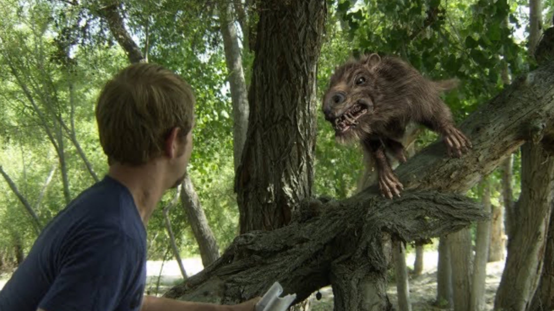 Foto do filme Return of the Killer Shrews