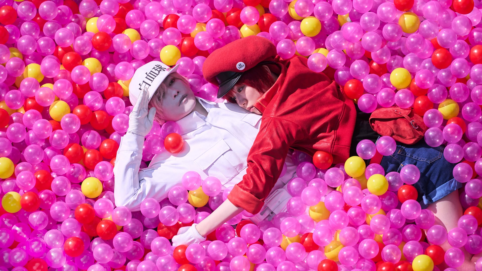 Foto do filme Cells at Work!