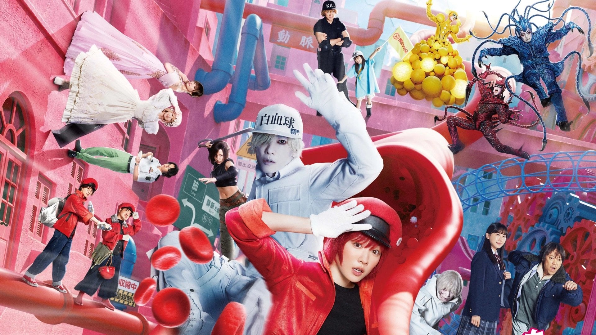 Foto do filme Cells at Work!