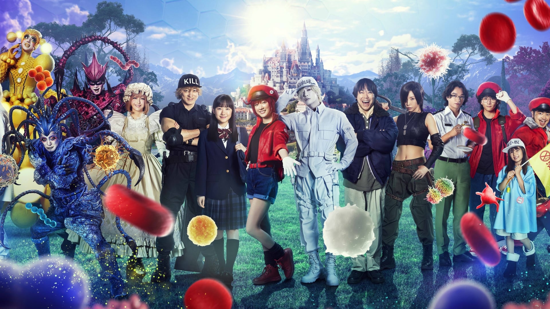 Foto do filme Cells at Work!