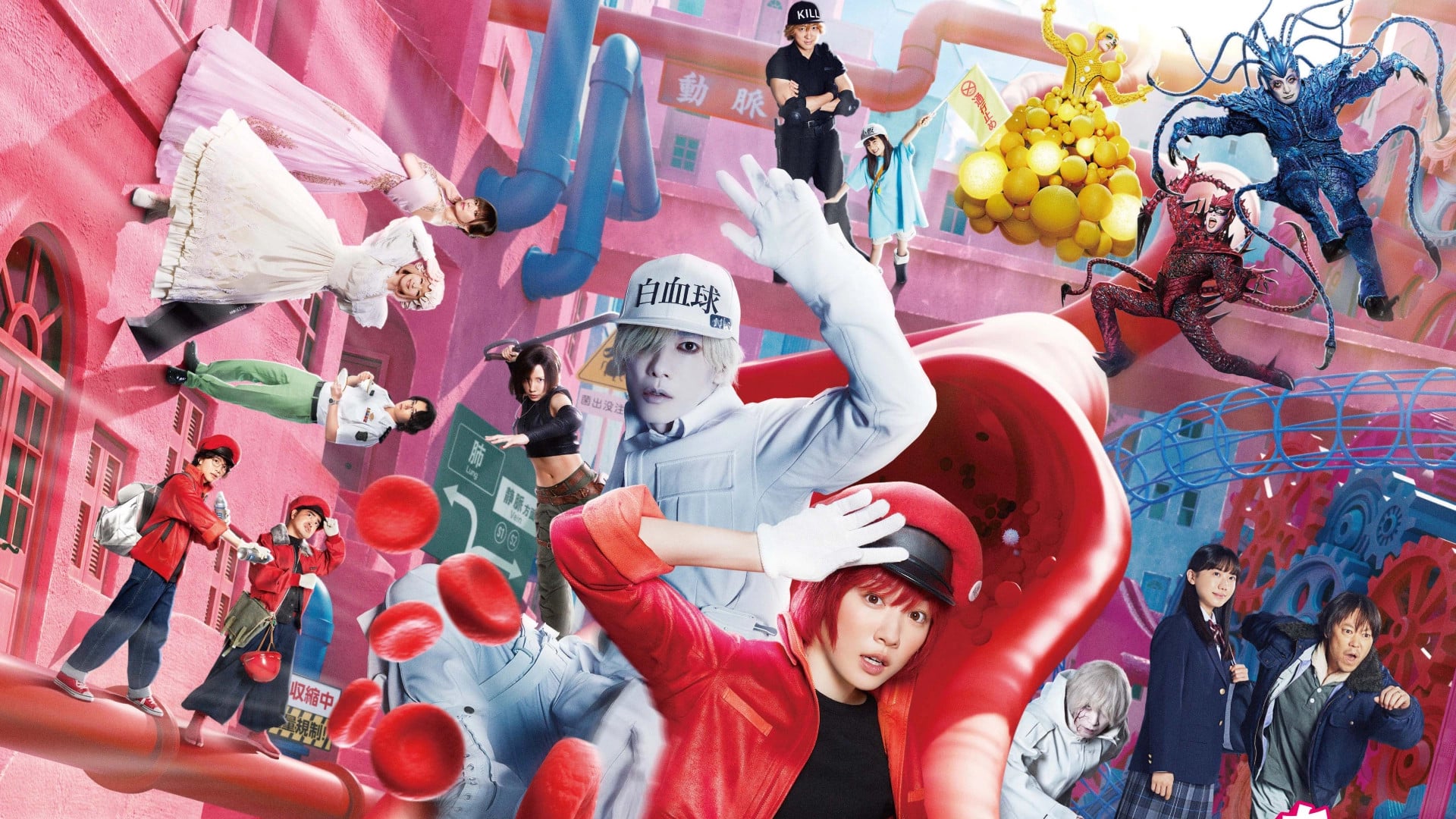 Foto do filme Cells at Work!