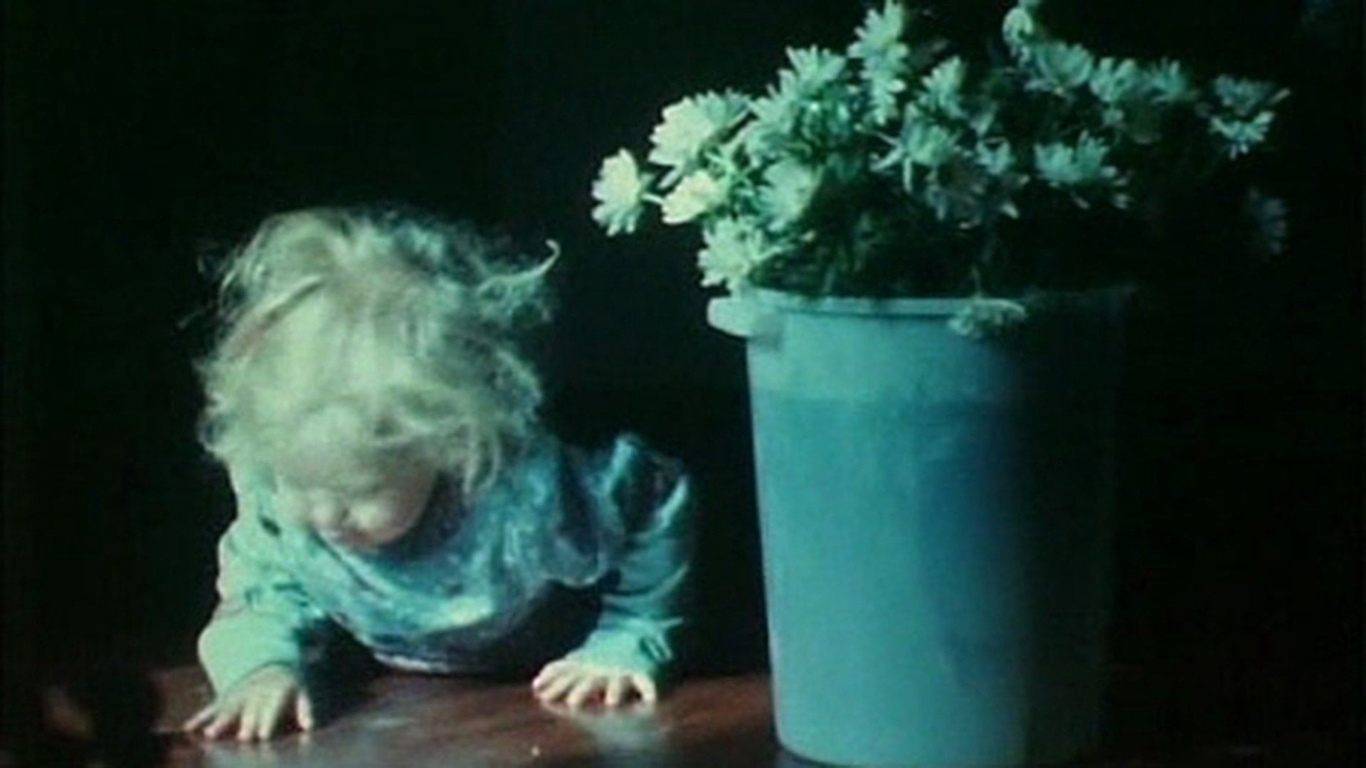 Foto do filme Ao Caminhar Entrevi Lampejos de Beleza