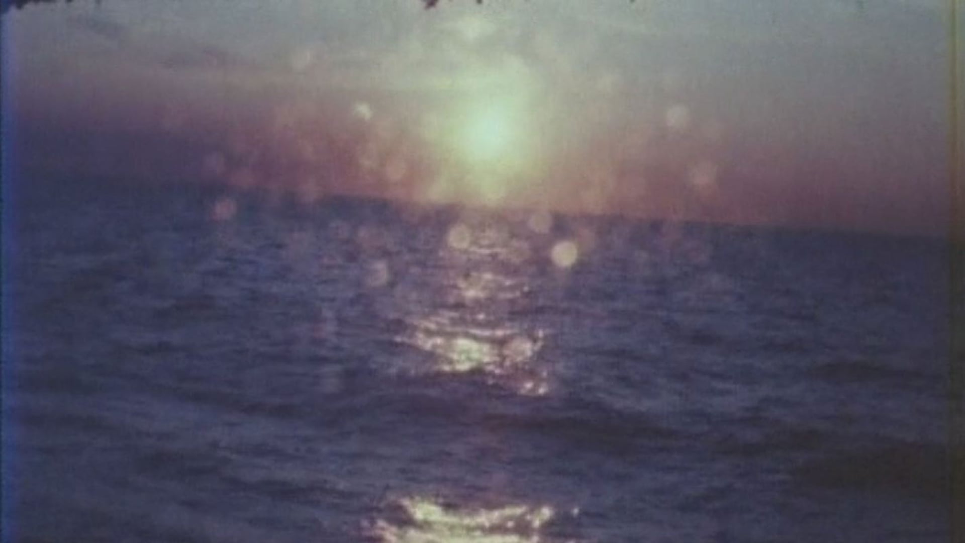 Foto do filme Ao Caminhar Entrevi Lampejos de Beleza