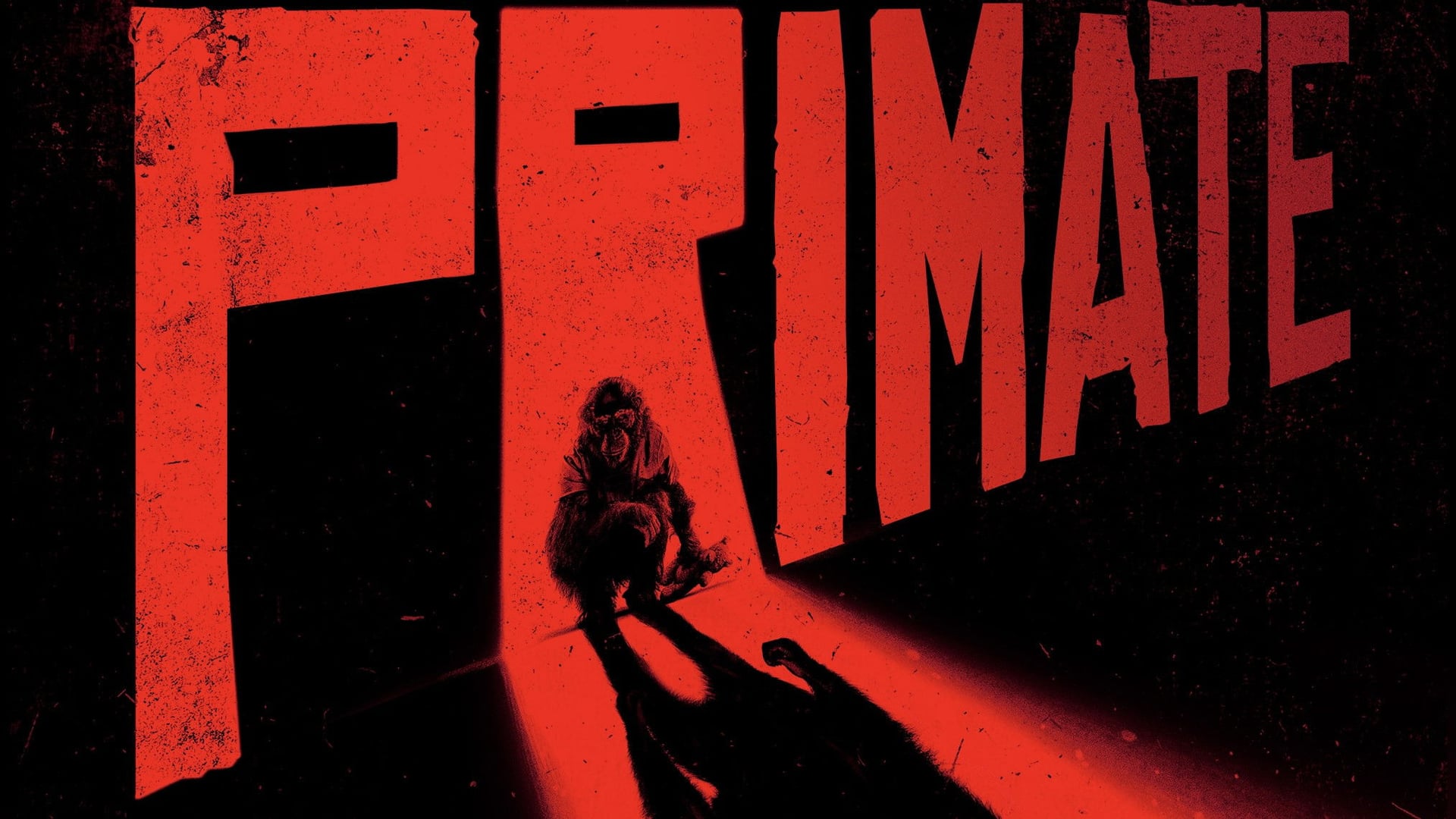 Foto do filme O Primata